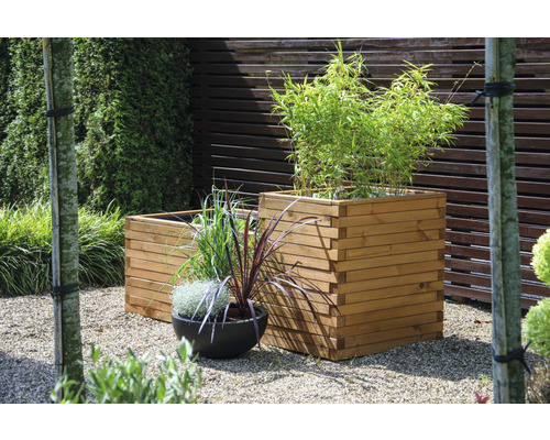 Scène de jardin avec des plantes dans deux jardinières en bois et un pot