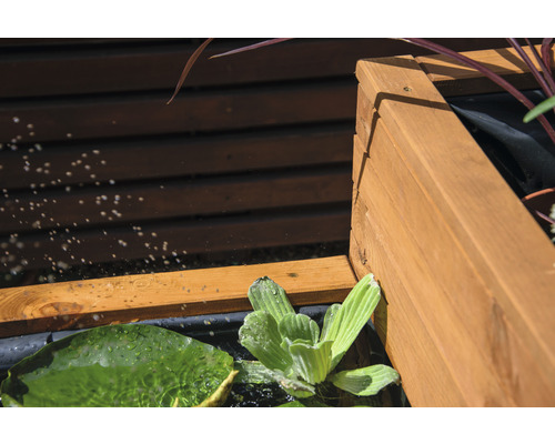 Vue détaillée d''un bassin de jardin surélevé avec cadre en bois et plantes aquatiques
