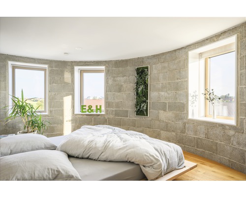 Helles Schlafzimmer mit Betonwand, Fenstern, Bett und Zimmerpflanzen