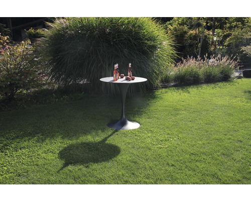 Runder Gartentisch auf einer grünen Rasenfläche mit Getränken und Obst.