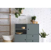 Grauer Schrank mit Regalen, Dekoration und Pflanzen vor einer Backsteinwand