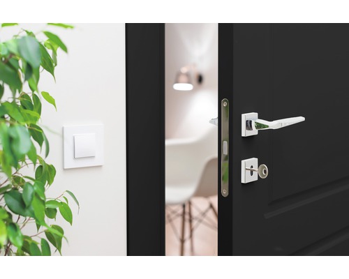 Porte sombre ouverte avec poignée de porte et clé argentées, à côté d''une branche verte et d''un interrupteur