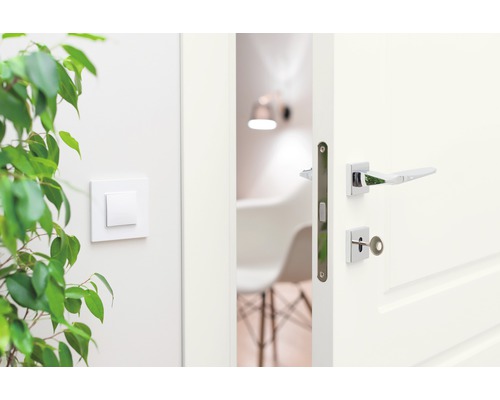 Geöffnete Innentür mit Türgriff und Schlüssel, Lichtschalter und Zimmerpflanze