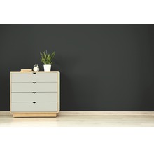 Peinture murale RENAULAC mat anthracite 2,5 L
