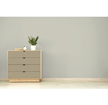 RENAULAC Wandfarbe Matt hellgrau 2,5 L