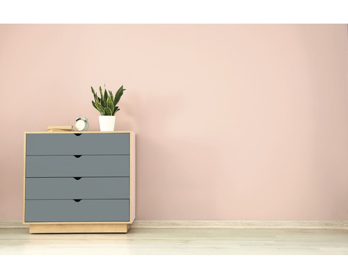 Commode avec quatre tiroirs, décoration et plante d''intérieur