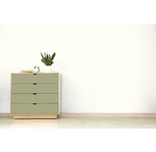 RENAULAC Wandfarbe Matt weiß 2,5 L