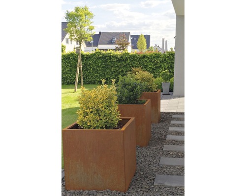 Trois jardinières en métal dans le jardin avec des plantes