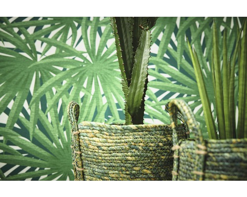 Scène avec cactus et plante verte dans des paniers tressés devant un papier peint à motif de palmier.