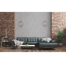 Wohnzimmer mit Ledersofa, Couchtisch, Regalen, Zimmerpflanzen und Ziegelwand