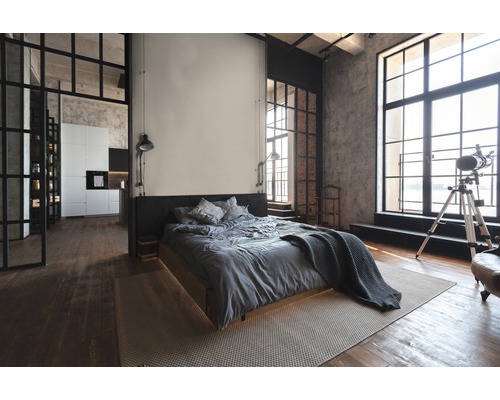 Helles Schlafzimmer im Loftstil mit Bett, Teppich, Fenstern und offener Küche