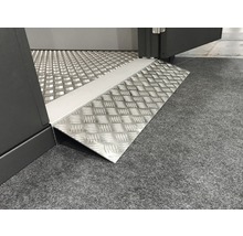 Rampe für Einzeltür Gartenhaus Classico 88 x 25 cm