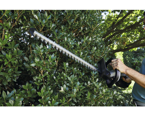 Eine Person schneidet eine Hecke mit einer Heckenschere.