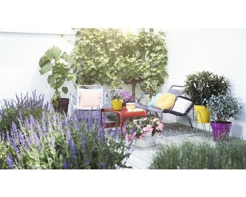 Espace de jardin décoré avec des sièges et des plantes