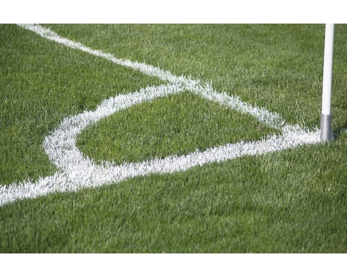 Coin de terrain de football avec drapeau de coin et marquage