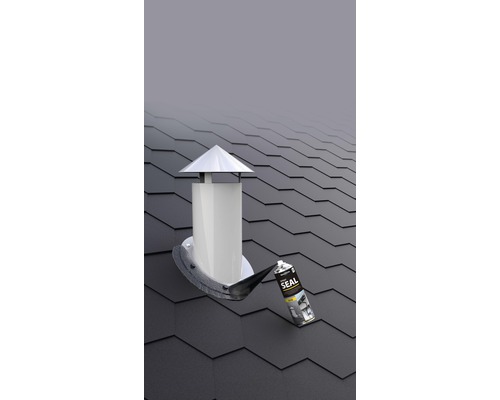 Dach mit Kamin und Dichtspray