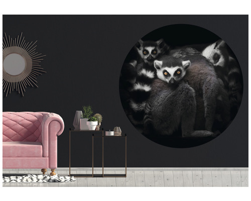 Salon avec stickers muraux de lémuriens dans un cercle
