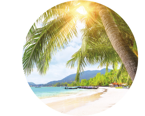 Plage tropicale avec palmiers et soleil