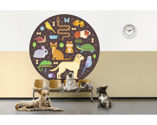 Décoration murale avec des motifs d''animaux et des animaux de compagnie qui attendent dans un cabinet vétérinaire