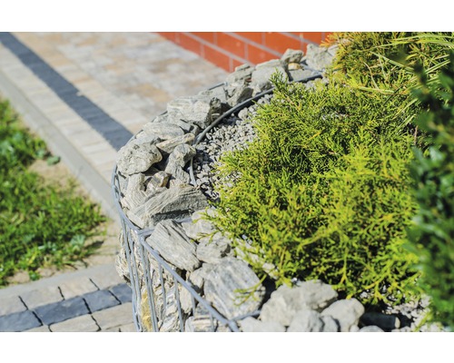 Gabion avec pierres et plantes dans le jardin