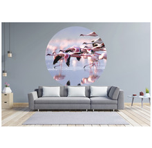 Papier peint panoramique intissé HRBC100003 Flamant rose Ø 142,5 cm