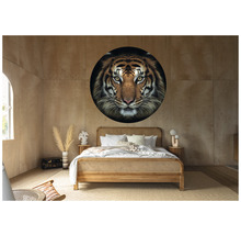 Papier peint panoramique intissé HRBC100009 Tigre Ø 142,5 cm