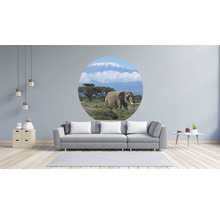 Fototapete Vlies HRBC100082 Kilimanjaro Elefant Ø 142,5 cm