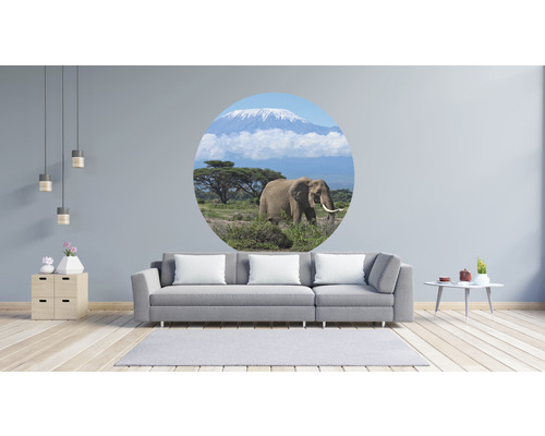 Salon avec canapé et sticker mural avec motif d''éléphant devant le Kilimandjaro