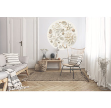 Papier peint panoramique intissé HRBC100097 Coquillage Ø 142,5 cm