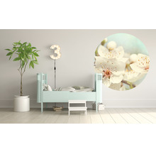 Papier peint panoramique intissé HRBC200098 Fleur de cerisier Ø 190 cm