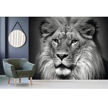 Papier peint panoramique intissé HRBP000002 Lion noir et blanc 5 pces 243 x 184 cm