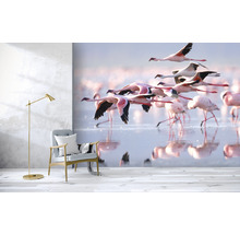 Fototapete Vlies HRBP000003 Flamingo 5-tlg. 243 x 184 cm