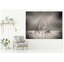 Papier peint panoramique intissé HRBP000004 Girafes 5 pces 243 x 184 cm
