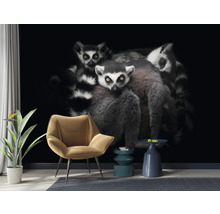 Papier peint panoramique intissé HRBP000008 Lémuriens 5 pces 243 x 184 cm