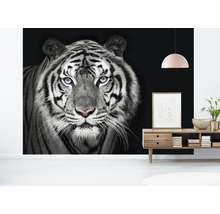 Fototapete Vlies HRBP000010 Tiger schwarz-weiß 5-tlg. 243 x 184 cm