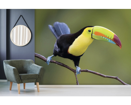 Wohnraum mit Sesseln, Spiegel und einer Fototapete mit einem Tukan auf einem Ast