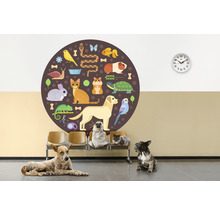 Illustration einer Wartehalle für Haustiere mit Tieren und Wandtattoo