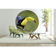 Papier peint panoramique intissé HRBC200060 Toucan Ø 190 cm
