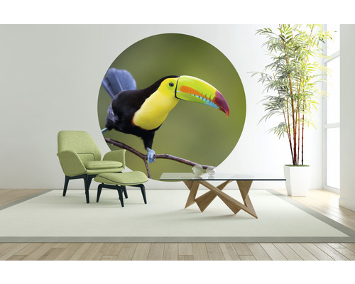 Salon avec fauteuil, tabouret, table et sticker mural avec un toucan
