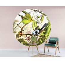 Papier peint panoramique intissé HRBC200059 Illustration oiseau 2 Ø 190 cm