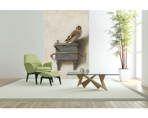 Salon avec fauteuil, tabouret, table basse, plante d''intérieur et peinture murale