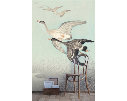 Papier peint photo avec motif d''oiseau à côté d''une chaise en bois et de cadres photo