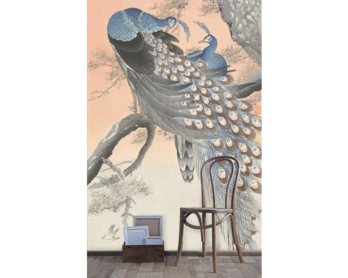 Papier peint avec motif de paons et chaise en bois dans la pièce