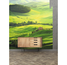 Wandbild mit Landschaftsmotiv hinter Holzkommode