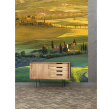 Wandbild mit Landschaftsmotiv über einem Holzschrank