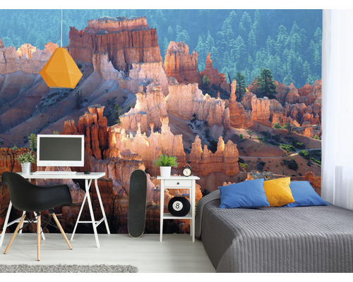 Espace de vie avec papier peint photo représentant des formations rocheuses et une forêt