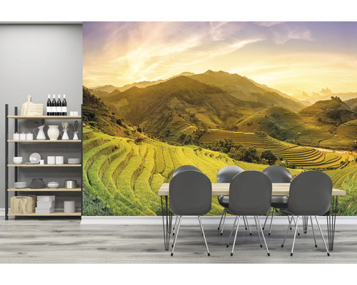 Salle à manger avec fresque murale de rizières, étagère et table à manger avec chaises