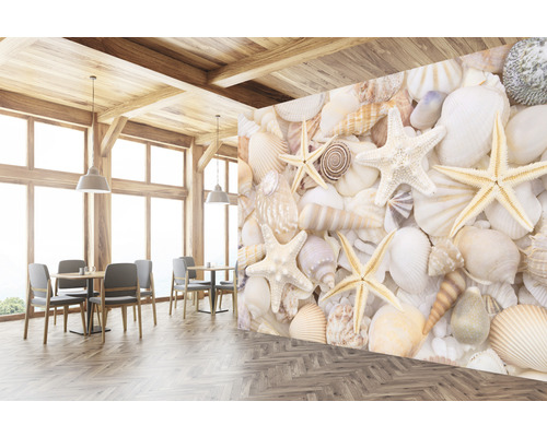 Papier peint photo avec coquillages et étoiles de mer dans un restaurant.
