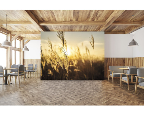 Pièce à vivre avec plafond à poutres en bois, parquet à chevrons et papier peint photo avec des herbes dans la lumière du soir.