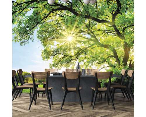 Szene mit Esstisch und Baumtapete im Hintergrund.